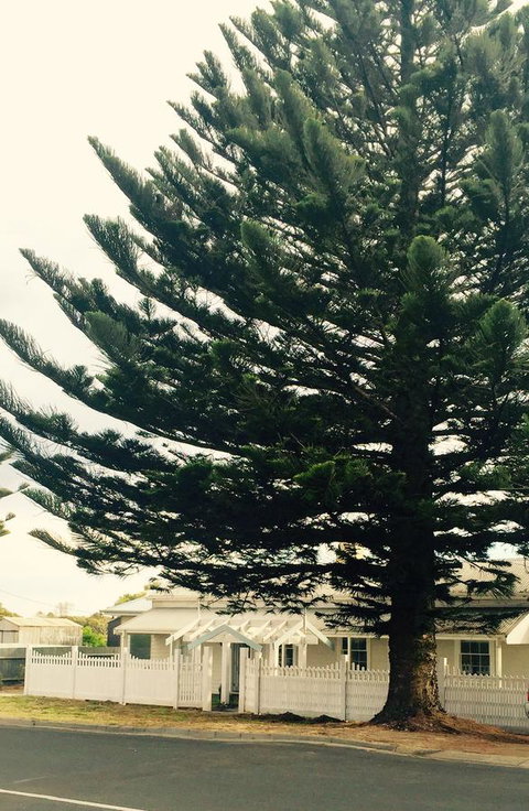 Railway Cottage In Beachport - Lightning Ridge Tourism 13