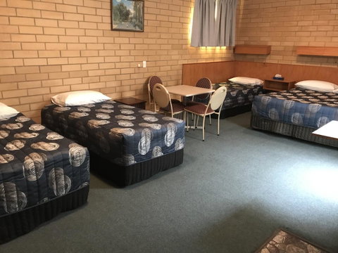 Frewville Motor Inn - Lightning Ridge Tourism 12