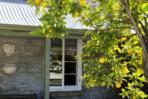 Grand Cru Estate Homestead - Lightning Ridge Tourism 10