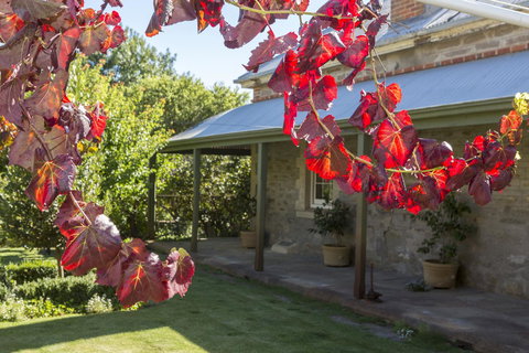 Grand Cru Estate Homestead - Lightning Ridge Tourism 0