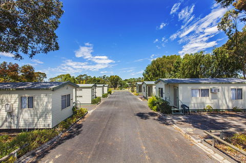 Echo Holiday Parks - Naracoorte - Lightning Ridge Tourism 7