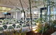 Walkers Arms Hotel - thumb 8