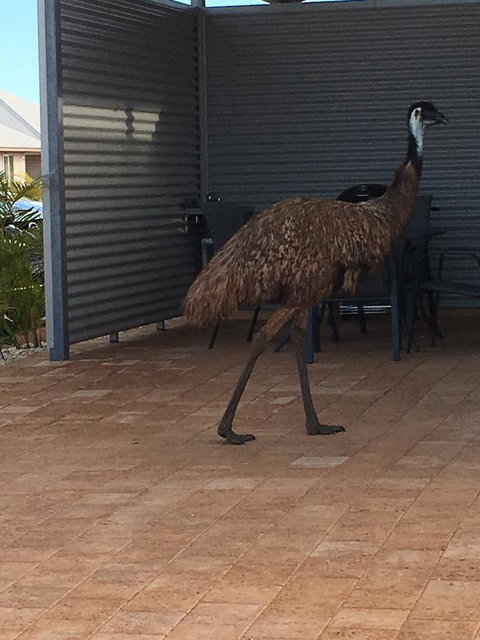 Escape 2 Exmouth - Lightning Ridge Tourism 15