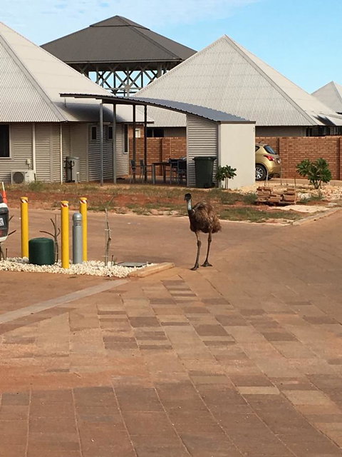 Escape 2 Exmouth - Lightning Ridge Tourism 16
