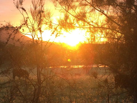 Grapevines Boutique Accommodation - Lightning Ridge Tourism 27