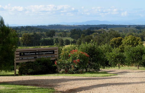 Grapevines Boutique Accommodation - Lightning Ridge Tourism 15