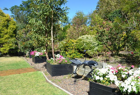 Grapevines Boutique Accommodation - Lightning Ridge Tourism 17