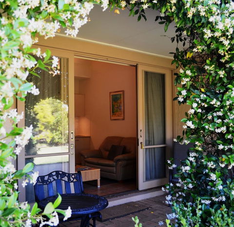 Grapevines Boutique Accommodation - Lightning Ridge Tourism 7