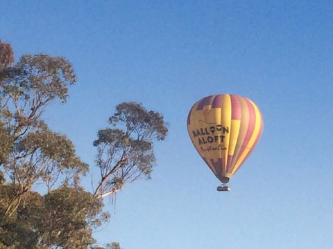 Grapevines Boutique Accommodation - Lightning Ridge Tourism 12