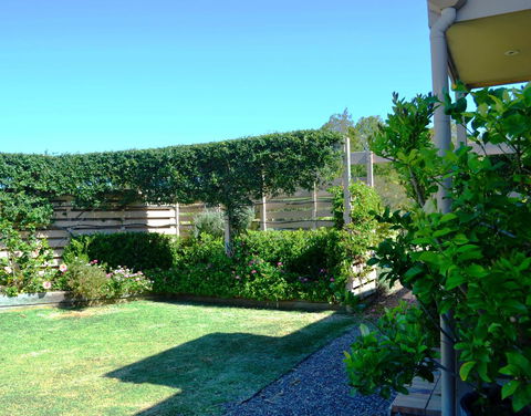 Grapevines Boutique Accommodation - Lightning Ridge Tourism 14