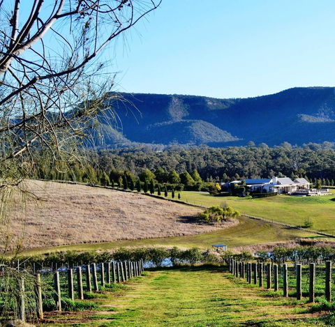 Grapevines Boutique Accommodation - Lightning Ridge Tourism 5
