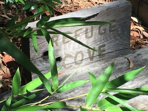 Refuge Cove On Pittwater - Lightning Ridge Tourism 12
