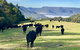 Amaroo Valley Springs - thumb 5