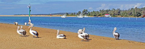 Pelican Motor Inn - Lightning Ridge Tourism 29