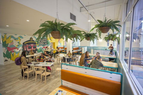 YHA Sydney Central - Lightning Ridge Tourism 4