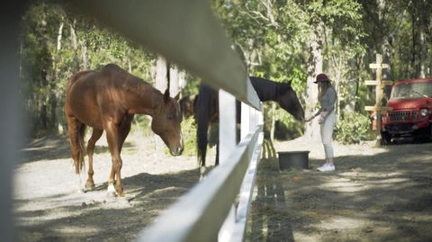 The Woods Farm Jervis Bay - Lightning Ridge Tourism 13