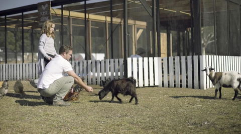 The Woods Farm Jervis Bay - Lightning Ridge Tourism 14