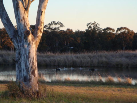 Adina Vineyard - Lightning Ridge Tourism 10