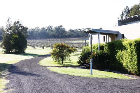 Adina Vineyard - Lightning Ridge Tourism 11