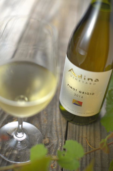 Adina Vineyard - Lightning Ridge Tourism 7