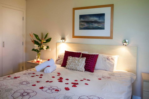 Adina Vineyard - Lightning Ridge Tourism 1
