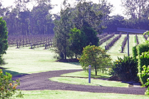 Adina Vineyard - Lightning Ridge Tourism 14