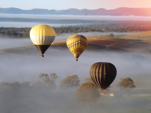 Adina Vineyard - Lightning Ridge Tourism 21