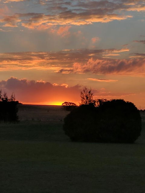 Madigan Wine Country Cottages - Lightning Ridge Tourism 13