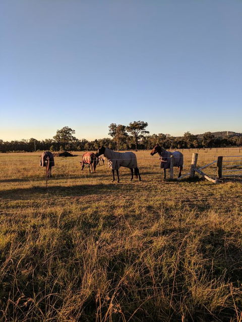Madigan Wine Country Cottages - Lightning Ridge Tourism 8