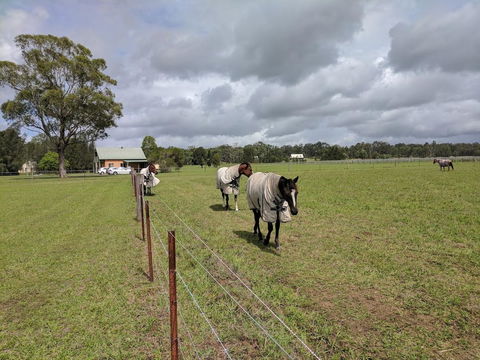 Madigan Wine Country Cottages - Lightning Ridge Tourism 9