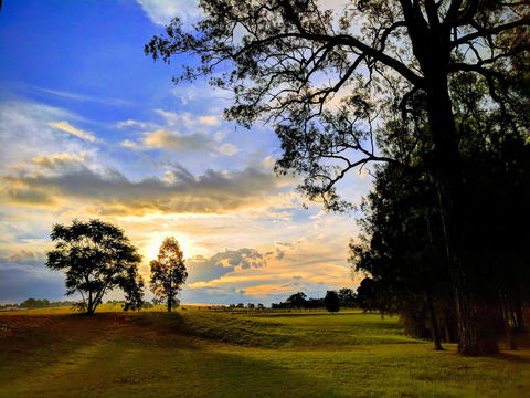Madigan Wine Country Cottages - Lightning Ridge Tourism 11