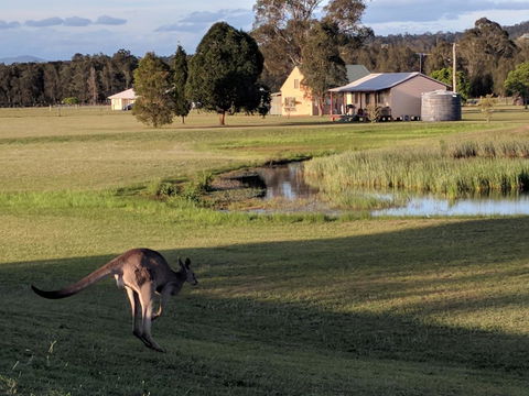 Madigan Wine Country Cottages - Lightning Ridge Tourism 6