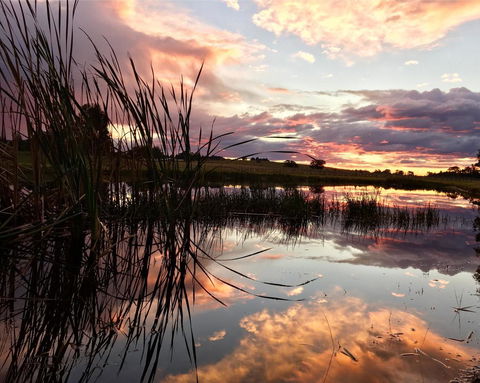 Madigan Wine Country Cottages - Lightning Ridge Tourism 16