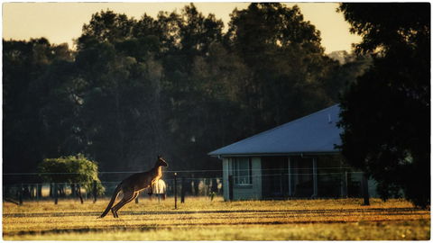 Madigan Wine Country Cottages - Lightning Ridge Tourism 5