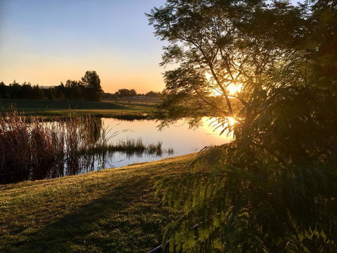 Madigan Wine Country Cottages - Lightning Ridge Tourism 17