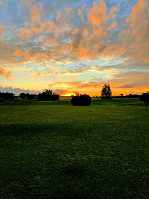 Madigan Wine Country Cottages - Lightning Ridge Tourism 12