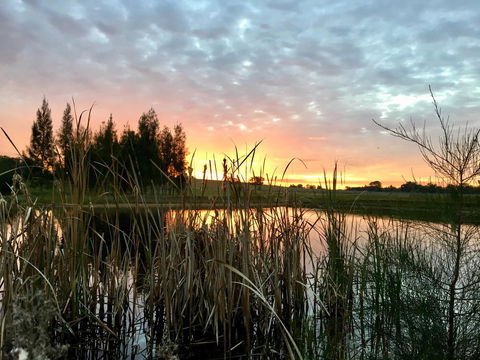 Madigan Wine Country Cottages - Lightning Ridge Tourism 14
