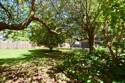 Wildlife Lodge Katoomba - Lightning Ridge Tourism 26
