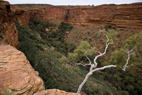 Kings Creek Station - Lightning Ridge Tourism 15