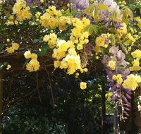 Bowral Road Bed and Breakfast - Lightning Ridge Tourism