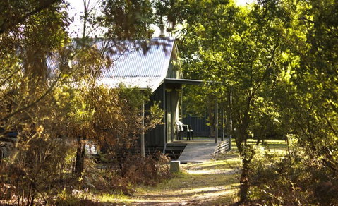 Brodribb River Rainforest Cabins - Cabin 1 - Lightning Ridge Tourism 2