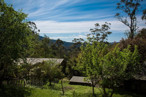 Buttercup Hill - Lightning Ridge Tourism 2
