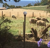 Cape View B and B - Lightning Ridge Tourism