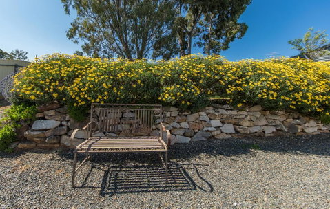 Captain Rodda's Cottage - Lightning Ridge Tourism 3