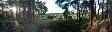 Chandeliers On Abbey - Lightning Ridge Tourism 1