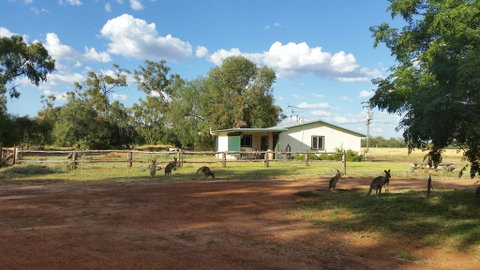 Charleville Bush Cottage - Lightning Ridge Tourism 1