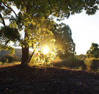 Clarendon Forest Retreat - Lightning Ridge Tourism
