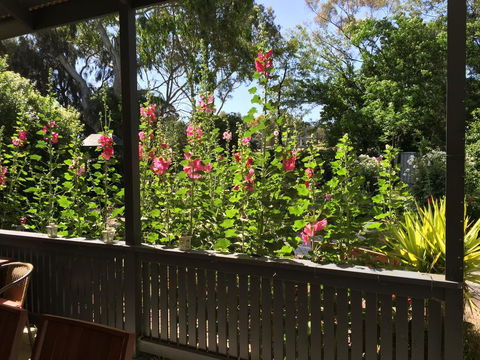 Clarevale Cottage B&B - Lightning Ridge Tourism 1