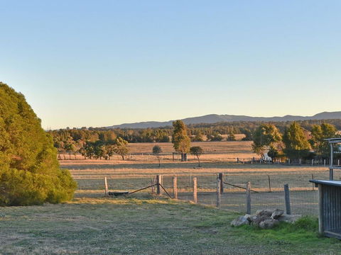 Clydesdale Cottage On Talga With Real Clydesdale Horses - Lightning Ridge Tourism 1