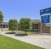 Comfort Inn May Park - Lightning Ridge Tourism